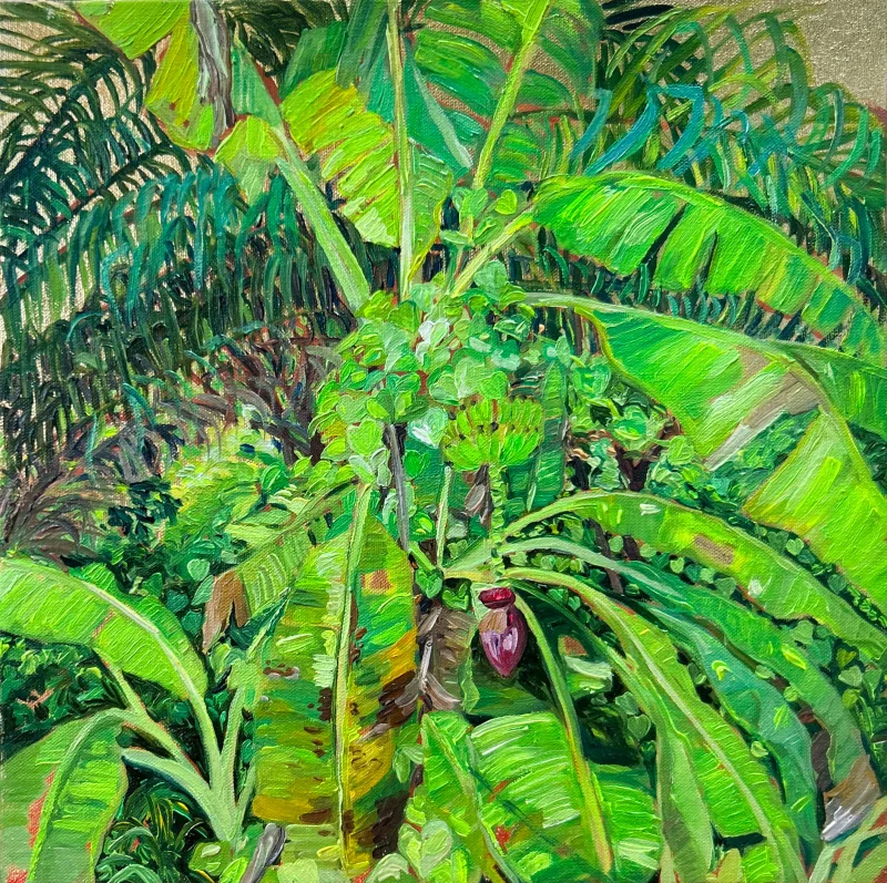 “Tropical landscape of Soconusco”