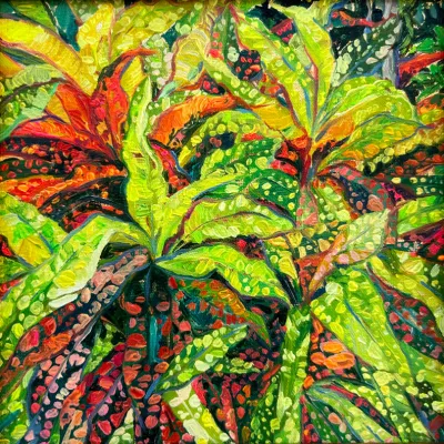 “Tropical Plants”