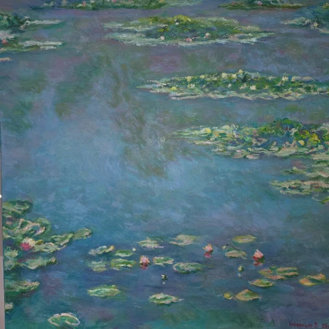 Water Lilies